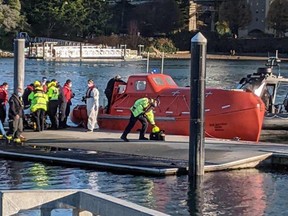 Two people were injured in the waters off Vancouver on Tuesday after a lifeboat unexpectedly released from a bulk carrier anchored in English Bay.