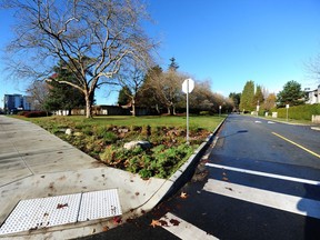 Two lots (centre) are being considered as if they were part of a high-density area of the University Endowment Lands (an area that starts at the background, left) but are adjacent to a single-family neighbourhood (right).
