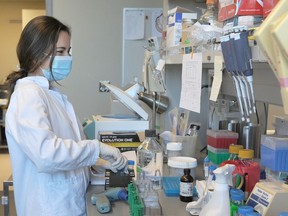 Lab technicians at work at the B.C. Children’s Hospital. The SPRING study will recruit 2,500 children and young adults — anyone under 25 years of age living in B.C.— to be test subjects, filling out a questionnaire and being subject to a finger-prick blood test that detects antibodies to the SARS-CoV2 virus, which causes COVID-19.