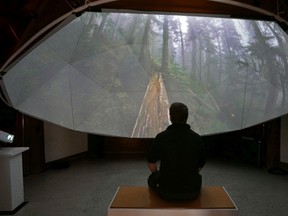 Sanctuary: The Dakota Bear Ancient Forest Experience. Producer Damien Gillis sits underneath the 360-degree geodesic dome.