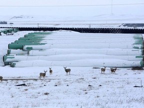 A depot used to store pipes for Transcanada Corp's planned Keystone XL oil pipeline is seen in Gascoyne, North Dakota, Jan. 25, 2017.