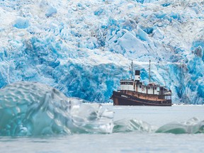 The converted tugboat Swell takes an up-close look at stunning glaciers in Alaska, one of several experiences offered by Maple Leaf Adventures. JEFF REYNOLDS
