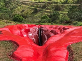 A sculpture of a vagina in Brazil.