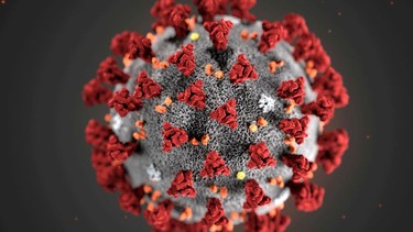 Here's your daily update with everything you need to know on the novel coronavirus situation in B.C.