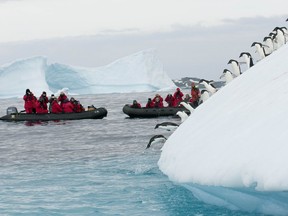 File photo of penguins on an iceberg.