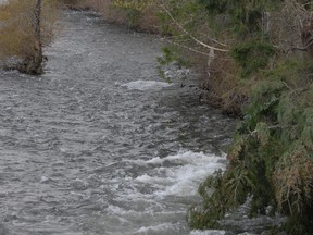 File photo of the Nanaimo River. A flood watch has been issued for the river and surrounding area.