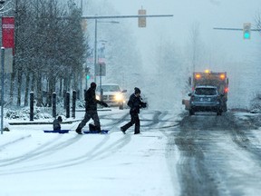 Snow is on the way for B.C.'s South Coast, with winter storm warnings in effect for much of Vancouver Island and the Southern Gulf Islands.