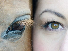 Photographer Leanne Peniuk, see here with her own horse Cori, has spent her life with horses and wanted to do something special to help those horses that suffer at the hands of humans. The book Rescue Me: The Rescue Horses of British Columbia, with photos by Peniuk and words by Martina Montgomerie, is the result of that.