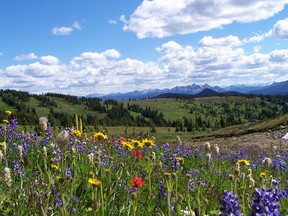 B.C.'s newest campsite is in Manning Park east of Vancouver, also home to Manning Park Resort.