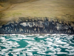 The north coast of Banks Island shows exposed ice along the cliff face. This formation is being eroded by wave action abetted by higher temperatures and decreased sea ice.