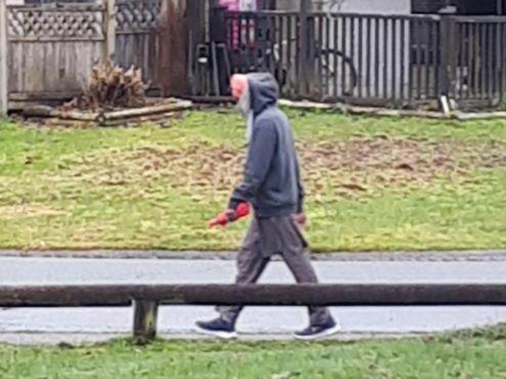 Surrey Rcmp Seeking Suspect Who Groped Youth At Newton Park Vancouver Sun