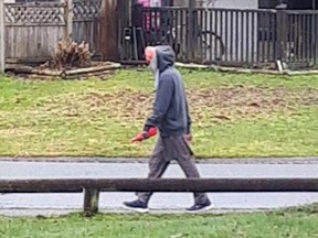 Surrey RCMP are searching for a suspect (pictured) accused of groping a youth.