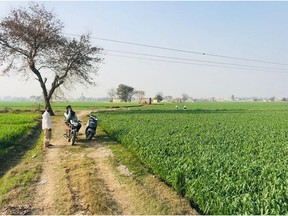 Surrey's Harjit Singh Gill is among the many people distressed by proposed legislation that he's convinced would harm small farmers in his small ancestral village of Maksudra in the state of Punjab, India.