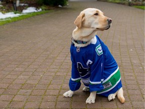 Canuck Place Children's Hospice, with support from partners Pacific Assistance Dogs Society (PADS) and YVR for Kids, welcomes a new "accredited facilities" dog, Gaia.