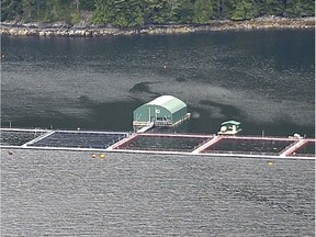 Fish pens in the Broughton Archipelago.