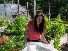 Niki Jabbour's raised beds are situated in a sunny location and protected by shade cloth on hot days.