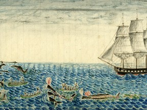 Sperm whaling in the North Pacific from the ship Canton on the Japan Grounds in the North Pacific. Four whaling boats harpooned six whales. Three of those whales were killed (exhaling reddish blows) and the other three were lost when the harpoons pulled free or broke. One whaling boat, shown in the lower left, was destroyed.