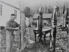 Peter Luggi Sr. participating in one of the last Stellat'en harvests of Nechako white sturgeon after construction of the power dam.