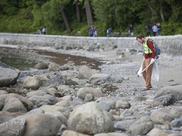 shoreline cleanup