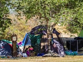 A homeless encampment in Beacon Hill Park in Victoria in August 2020.