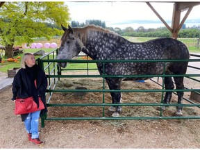 Jann Arden in Langley, eyeing an imposing, well-cared-for draft horse, the type that is shipped live overseas because they are valued for their meat. ‘The horses are so frightened. Going to see the loads at the Calgary airport will haunt me for the rest of my life,’ she says. ‘The sounds they make, it just seems like such a betrayal.’