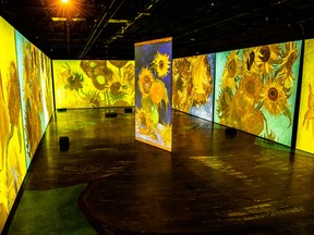Imagine Van Gogh takes over the Vancouver Convention Centre with larger-than-life Image Totale© depictions of the Post-Impressionist artist’s most famous works.