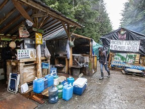 Fairy Creek blockade near Port Renfrew.