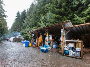 A blockade preventing forestry crews from accessing the Fairy Creek area near Port Renfrew has been in place for more than eight months.