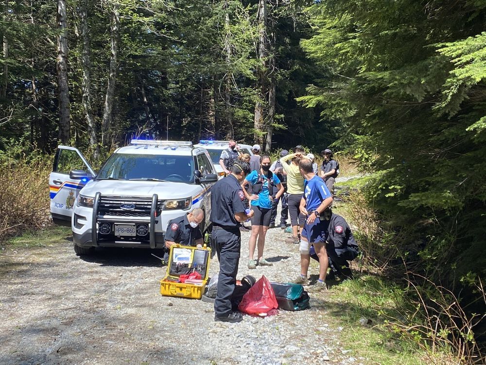 North Vancouver trail closed after bear attack | Vancouver Sun