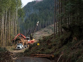 Active logging at an adjacent timber tract near protest camps in Port Renfrew, B.C., on April 6, 2021. Demonstrators at old-growth logging blockades on Vancouver Island were served with an injunction granted to forestry company Teal-Jones by the B.C. Supreme Court to remove their blockades.