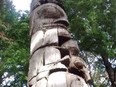 A totem pole in the Great Bear Rainforest on the B.C. north-central coast.