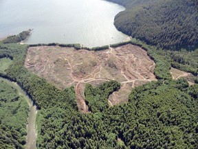 File photo: A Jan 2012 handout photo of Apache Canada LNG facility building site in Kitimat, B.C.