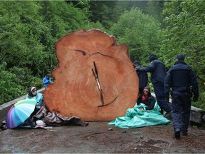 RCMP officers make their way around two protesters chained to a tree stump at an anti-logging protest in Caycuse, B.C. on Tuesday, May 18, 2021.