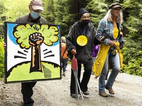Seniors protesting the logging of old-growth forest march in the Fairy Creek watershed near Port Renfrew.