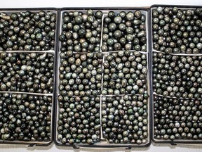 A tray of Black or Tahitian pearls.