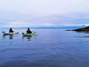 Paddlers take in the picture-perfect views amid the serenity at the edge of Victoria’s Middle Harbour.