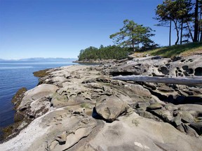 The B.C. Parks Foundation is able to save the unique ecosystem on Saturnina Island in the Salish Sea thanks to a $4 million donation by Chip and Shannon Wilson and family.