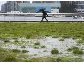 Environment Canada is forecasting a cloudy and wet day today, with a high chance of showers and maybe some thunderstorms.