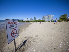 High E.coli levels were found in the water off English Bay beach.