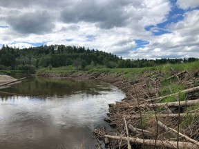 Visible results of bank-stabilization work on the Chilako River west of Prince George, which helps salmon but has an economic impact that contributes what experts estimate to be a multi-billion-dollar endeavour in B.C.