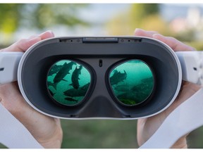 Uninterrupted VR offers people a chance to be immersed in the beauty and power of pacific salmon runs.