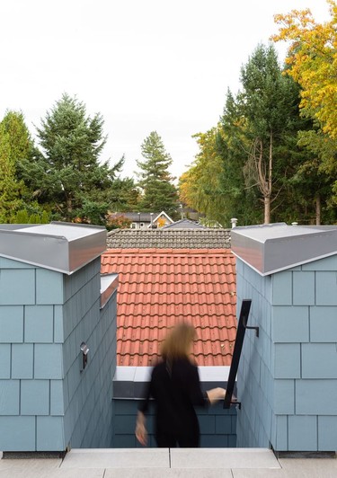 The home's 840 sq. ft. rooftop deck sits above other homes in the neighbourhood, against a seasonally changing canopy of maple leaves.