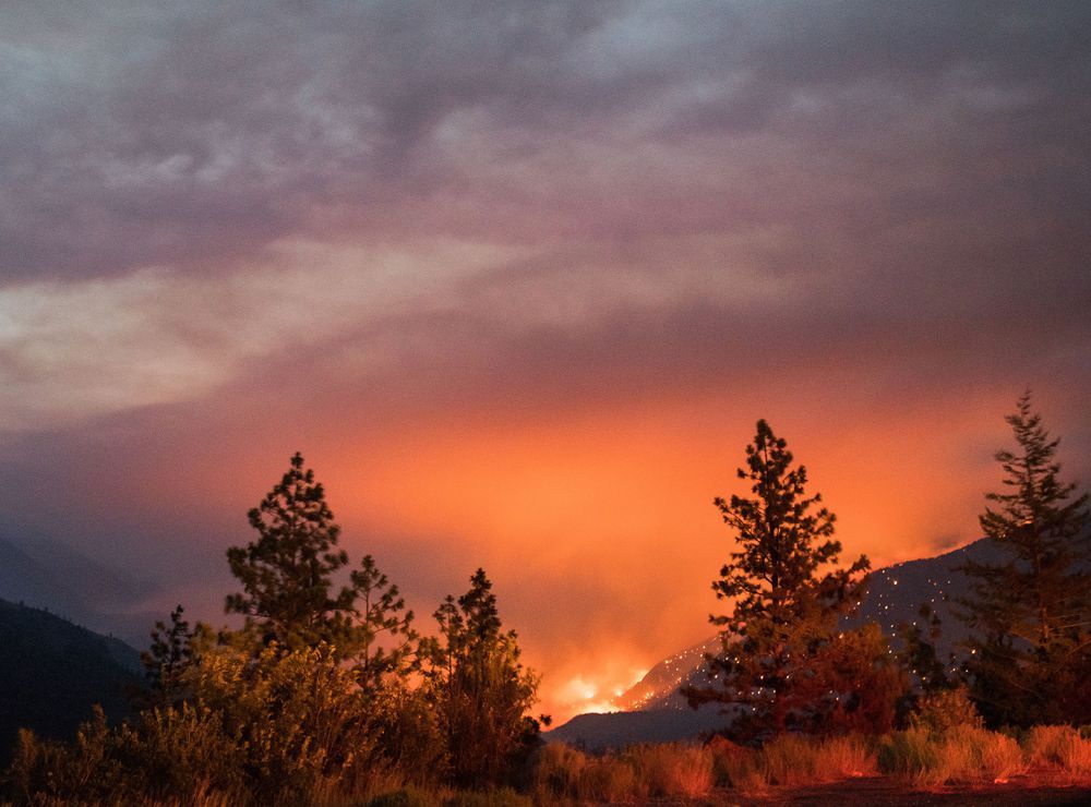 Billions in losses if Western Canada wildfire response unchanged