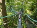 The Greenheart Trail Walk is a self-guided, naturalist-led tour of a 310-meter treetop canopy walk above the temperate rainforest.
