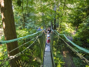 Greenheart Trail Walk is a self-guided & naturalist-led tours of a 310 metre long treetop canopy walkway over temperate rainforest.