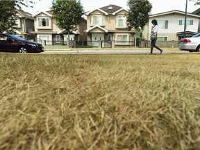 File photo of dry grass along Franklin Street in Vancouver during a drought.