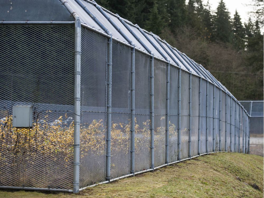 Vancouver Island inmate who threatened prison guards gets nine months