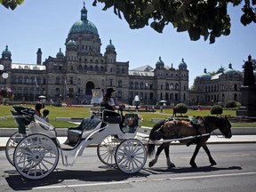 Tourists aboard a horse and carriage ride as it passes the B.C. legislature on July 6. As COVID-19 numbers continue to drop in the province and around the country the provincial government has eased restrictions allowing tourism to slowly returning to Victoria.
