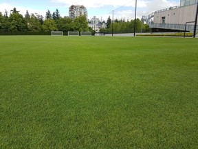Healthy lawns make great playing fields.
