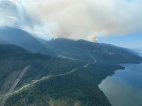 Aerial view of the Octopus Lake fire, located in B.C.’s southeast near Fauquier, on July 17, 2021.